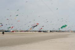 IMG_2220 (Small)
