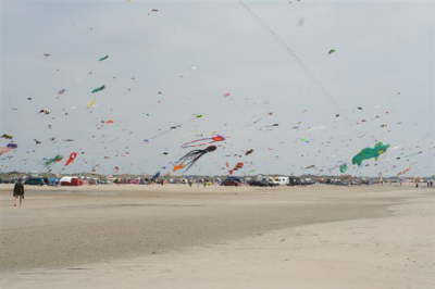 IMG_2220 (Small)